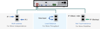 Dual Lan Giga Network Ports, Pro NVR