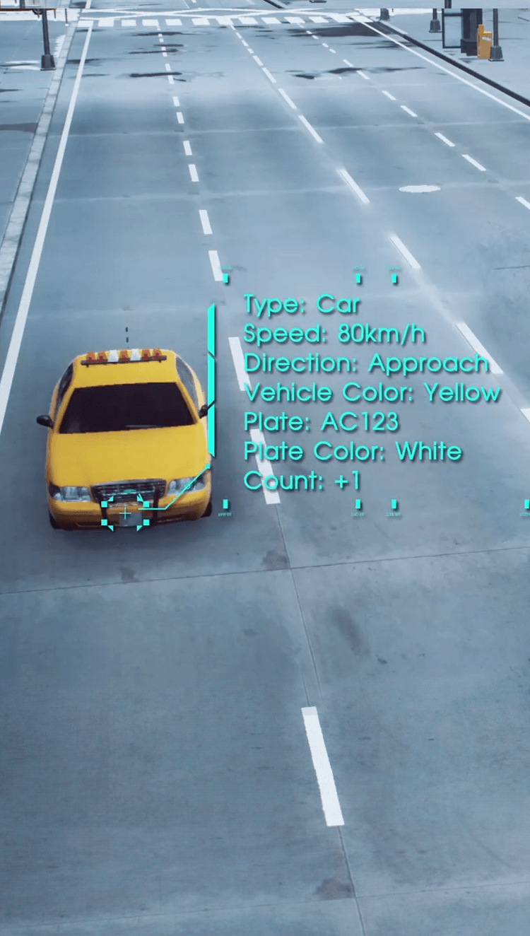 different countries LPR attributes