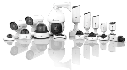 Milesight Cameras